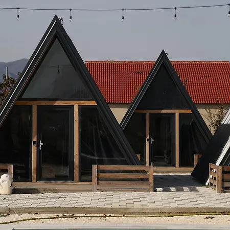 United * Pogradec